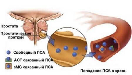 Виды антигена