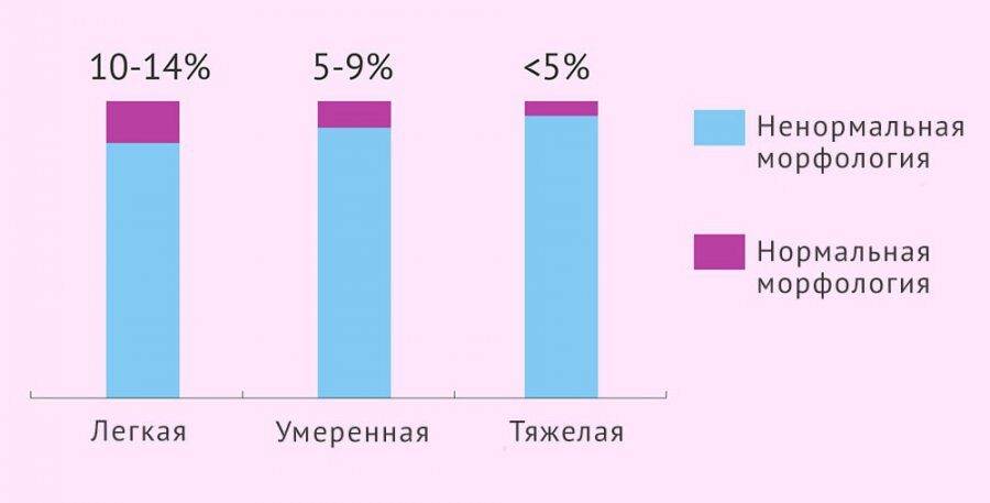 Типы тератозооспермии