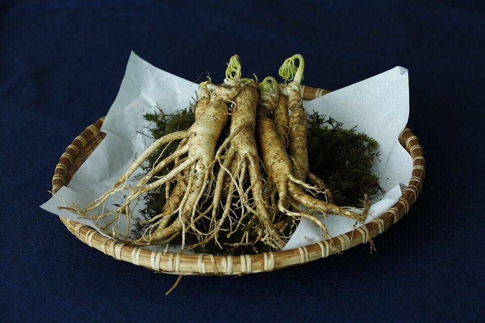 ginseng-3404958_960_720