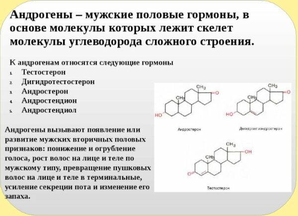 Как остановить андрогенную алопецию у мужчин