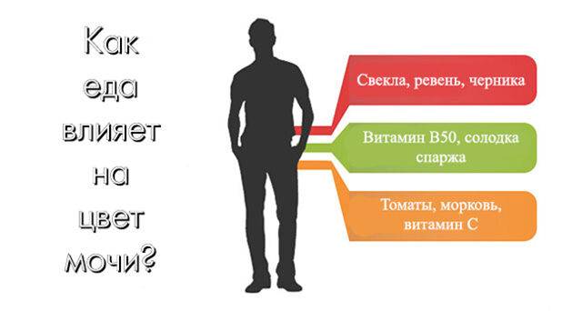 Оранжевая моча - причины и диагностика изменения цвета