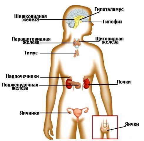 Какие витамины нужно пить чтобы забеременеть?