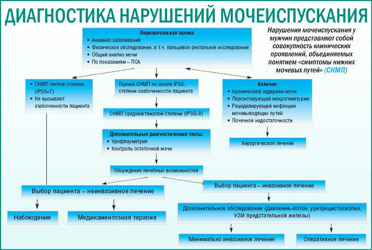 Диагностика и лечение нарушений мочеиспускания у мужчин 