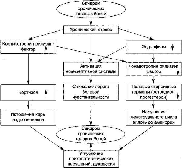 Эндокринная регуляция синдрома хронических тазовых болей