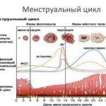 Гормональные сбои перед менструальным циклом