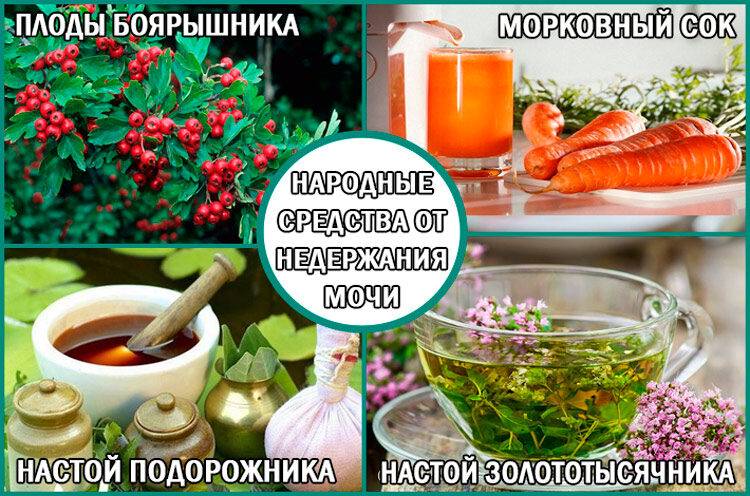 Как лечить недержание мочи народными средствами