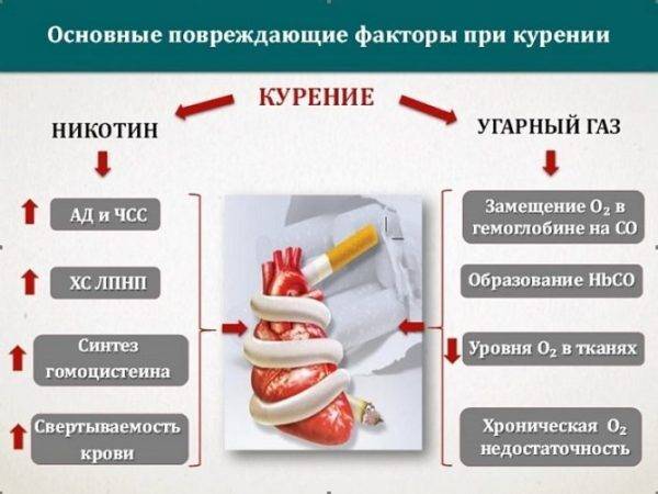 Повреждающие факторы