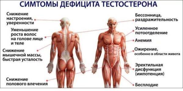 Симптомы дефицита тестостерона