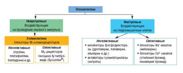 Спазмолитики - классификация