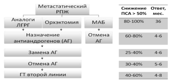 Терапия гормонорефрактерного рака