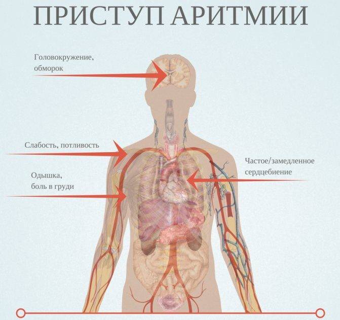 Кунжут: полезные свойства для мужского организма