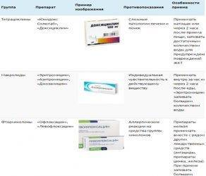 Уреаплазма и цистит: вызывает ли одно заболевание другое