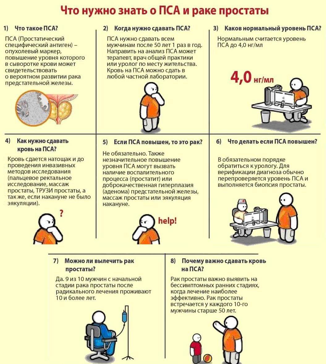 Памятка об анализе на ПСА и раке простаты