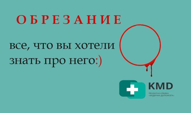 Обрезанный член: как он выглядит и отличается от необрезанного