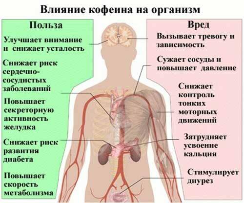 Влияние кофе на организм человека