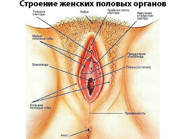 Схематический рисунок 