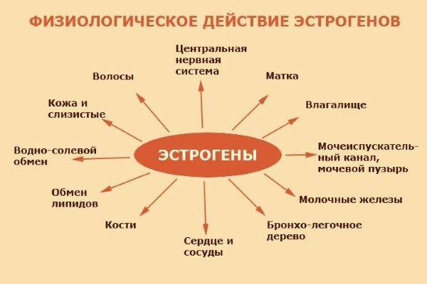 gormonalnyy-sboy-u-zhenschin-simptomy-i-priznaki-5