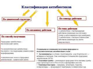 Кровоснабжение органов малого таза у мужчин