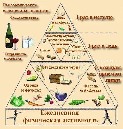 Пенится моча у ребенка 3 года причины. Диагностические и лечебные мероприятия