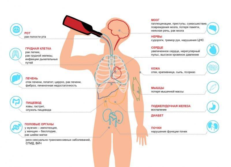 Влияние алкоголя на организм