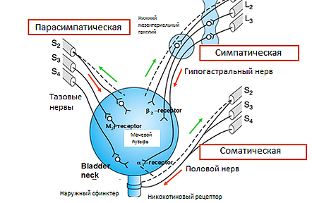 Медикаментозное лечение