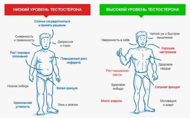 Недостаток тестостерона