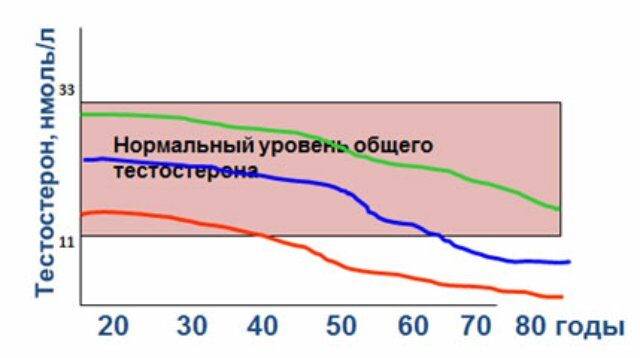 нормы тестостерона по возрастам