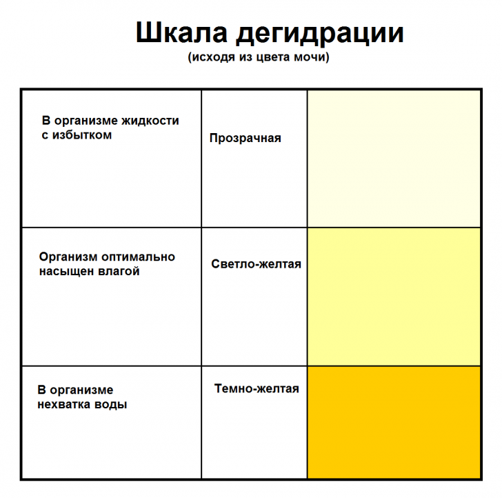 Прозрачная моча и частое мочеиспускание