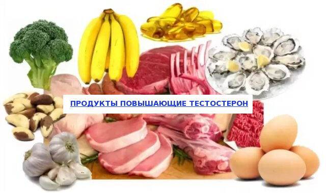 В каких продуктах находится тестостерон