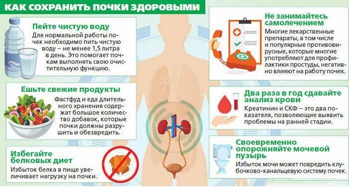 Профилактика заболеваний почек