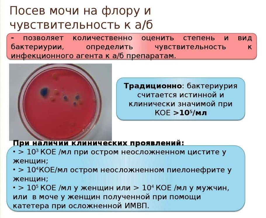 ᐉ Фурагин при цистите как принимать взрослым