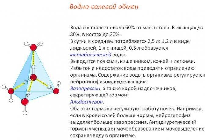 Светлая моча. Причины у женщин при частом мочеиспускании, беременности, лечение