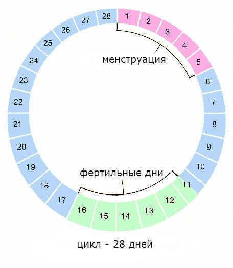 Спираль Мирена